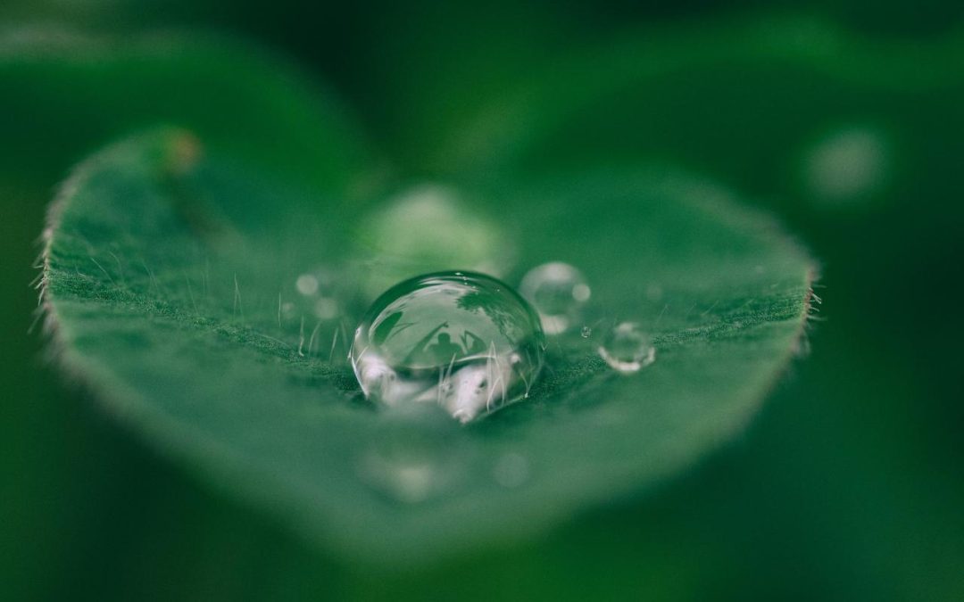 Elizabeth White: Ensure Everyone Has a Seat at the Table, and Listen