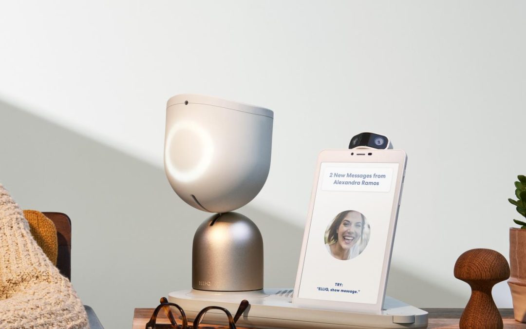 Staving off Loneliness, with a Social Robot?