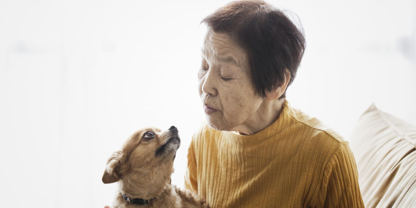 Featured image for Making That Critical Connection Featured image for Making That Critical Connection