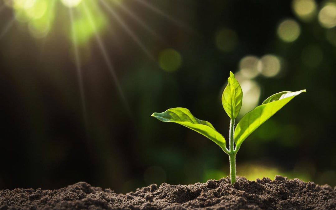 Building Resilience and Fostering Adaptation to Climate Change