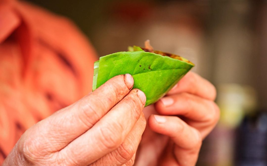 Smokeless Tobacco Use in Older South and Southeast Asian Americans