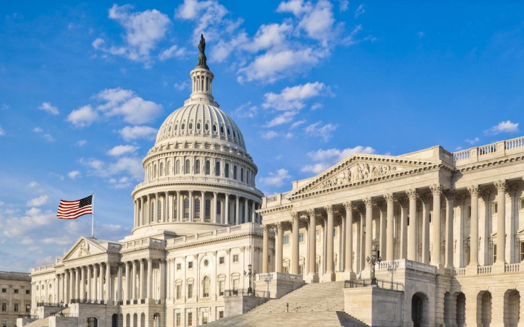 Training Future Leaders to Address Mental Health and Substance Use Issues in Older Adults—The Health and Aging Policy Fellows Program