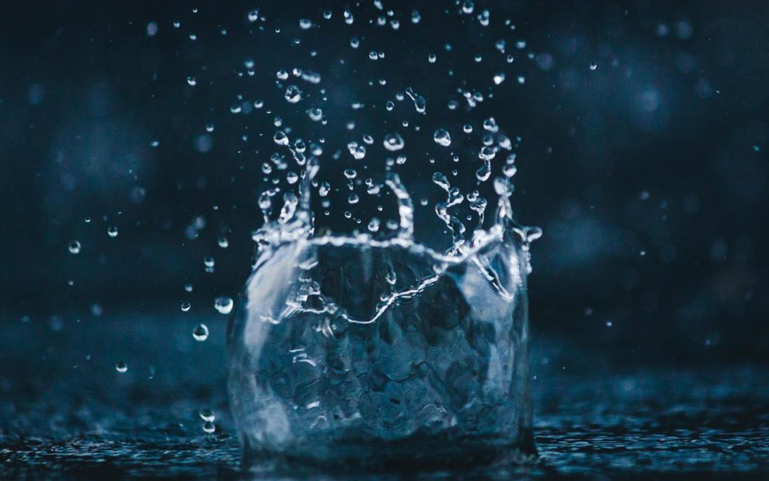 Four Things That Make Ken Dychtwald Radically Curious