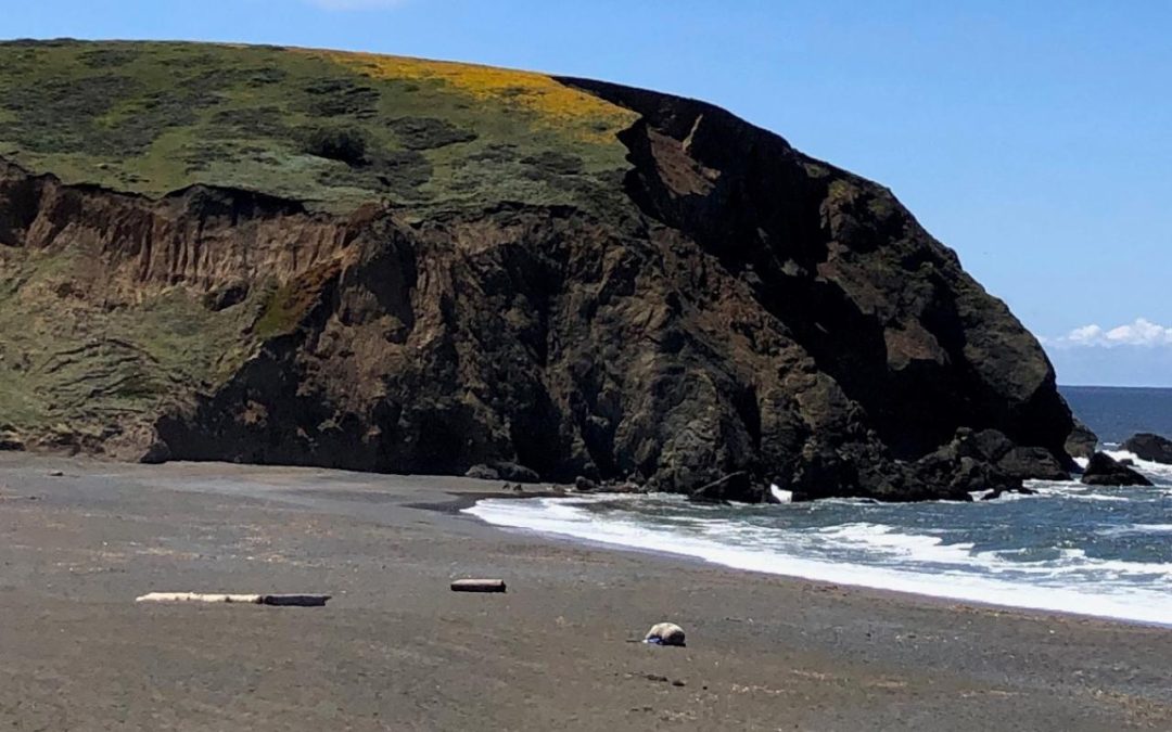 Larry of Arabia and the Rest of the Gang