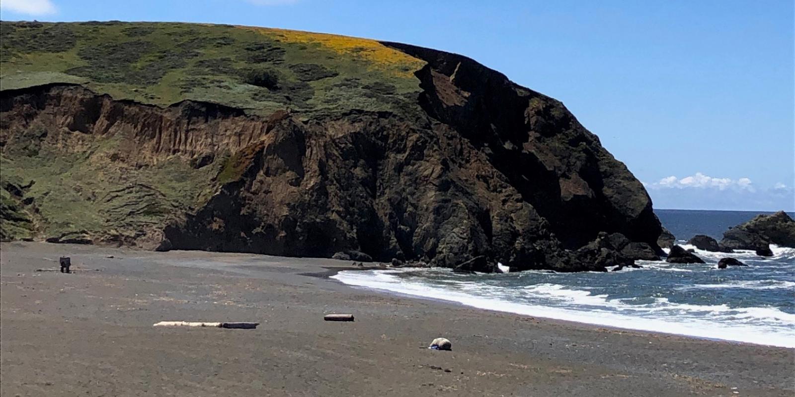 Featured image for Larry of Arabia and the Rest of the Gang Featured image for Larry of Arabia and the Rest of the Gang