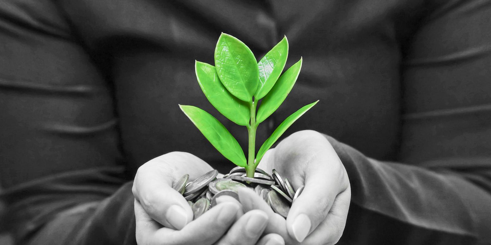 Featured image for Social Security: A Legacy for All Generations Featured image for Social Security: A Legacy for All Generations