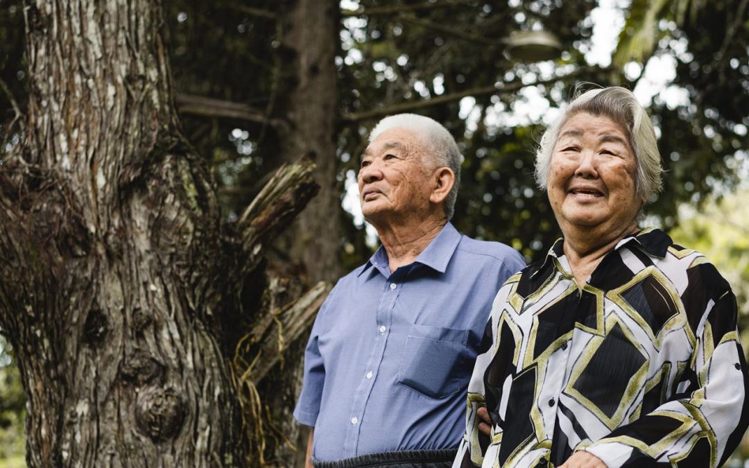 The Diversity of Older Immigrants and Precarious Aging: Eligibility and Access to Public Benefits