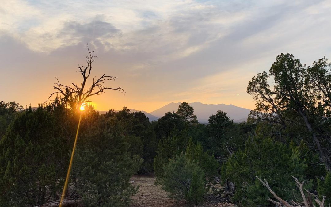 Climate Change Makes Acting on the Elders’ Lessons Critical
