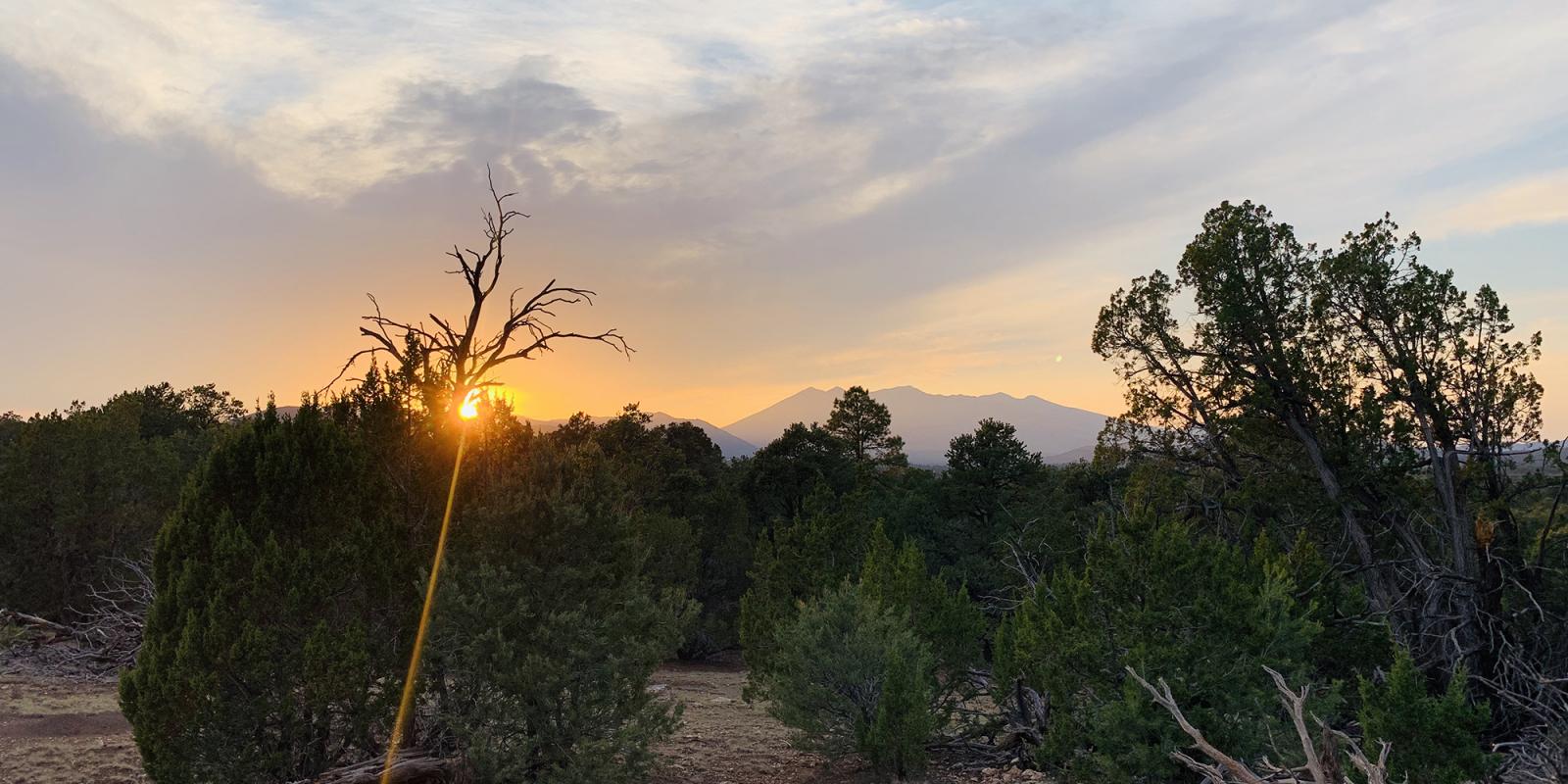 Featured image for Climate Change Requires Acting on Elders’ Lessons