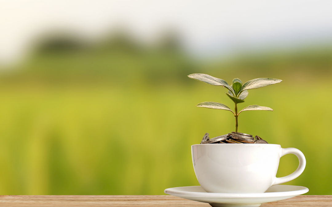 Raising Revenue for Good Social Public Policy