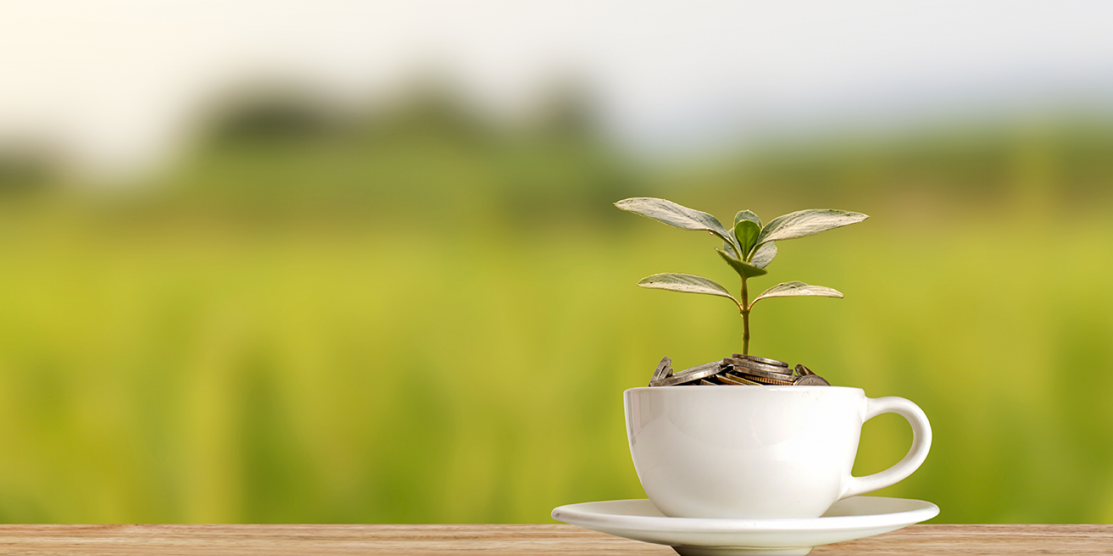 Featured image for Raising Revenue for Good Social Public Policy Featured image for Raising Revenue for Good Social Public Policy