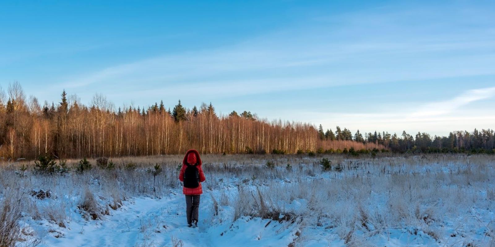 Featured image for Meeting the Shadows of Age: Book Review Featured image for Meeting the Shadows of Age: Book Review