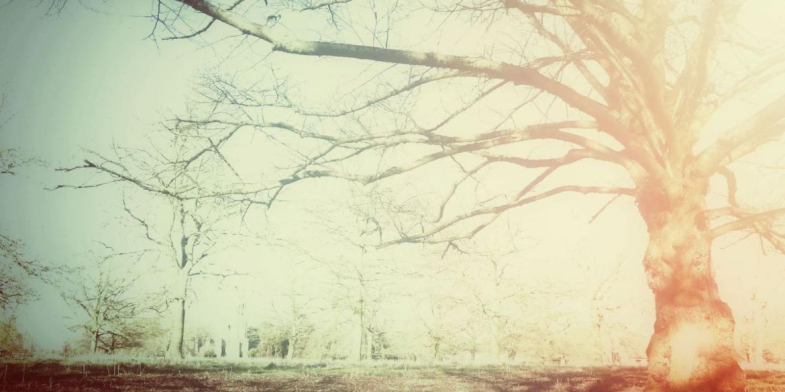 Featured image for Storytelling in Parkinson’s Disease Vital Featured image for Storytelling in Parkinson’s Disease Vital