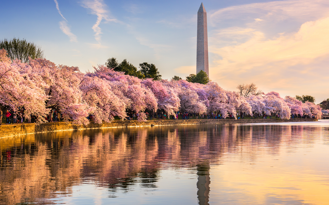 Reflections on Title VII 30 Years Later