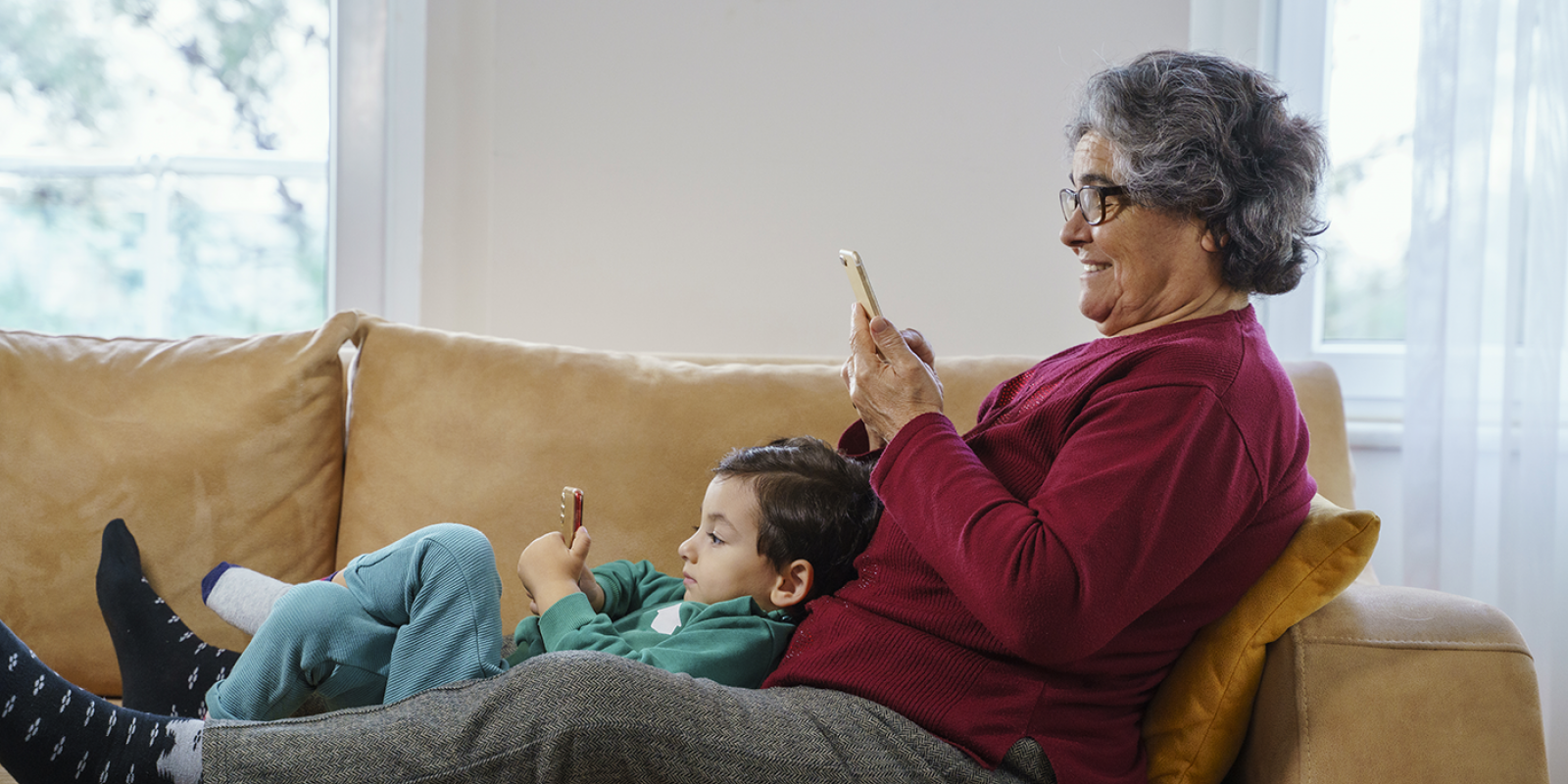 Featured image for Understanding the OAA’s Purpose and Role Featured image for Understanding the OAA’s Purpose and Role