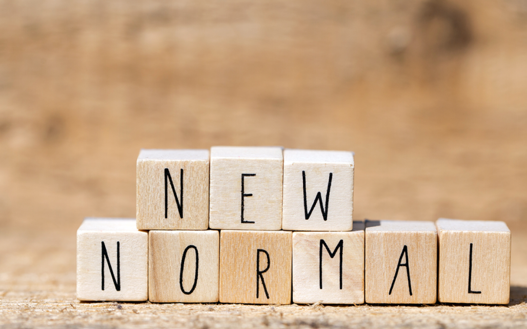 Elucidating Impacts, Navigating the New Normal in a Pandemic