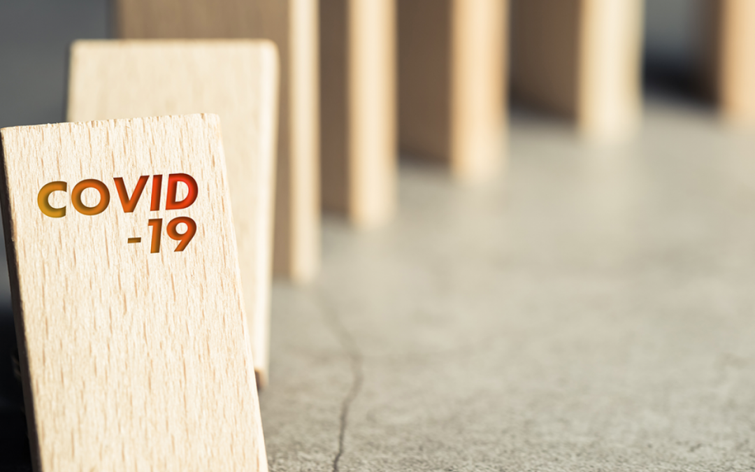 The Economic Impact of the Pandemic on Older Adults