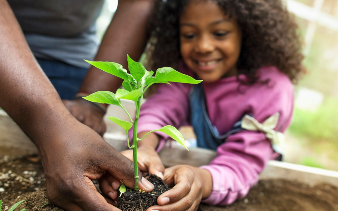 Our Guest Editor: Clear-eyed but Positive Outlook on Affecting Climate