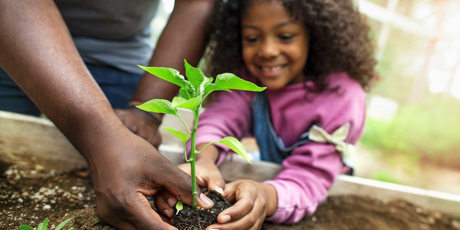 Featured image for Clear-eyed but Positive Outlook on Climate Featured image for Clear-eyed but Positive Outlook on Climate