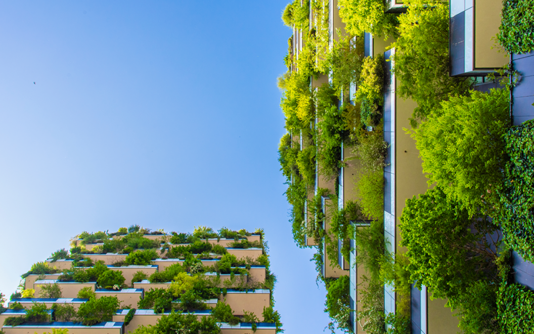 Build to Last: Creating Age-Friendly, Eco-Friendly, and Climate Resilient Housing and Communities