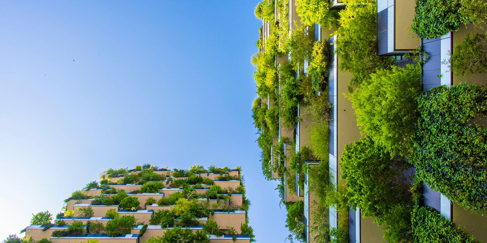 Featured image for Age-, Eco-Friendly, Climate Resilient Housing Featured image for Age-, Eco-Friendly, Climate Resilient Housing