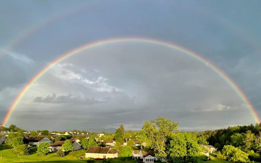 The Role of Elders in Saving Planet Earth