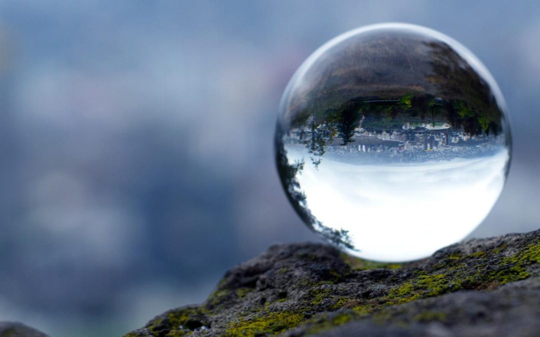 How Shifting a Lens Can Clarify the View