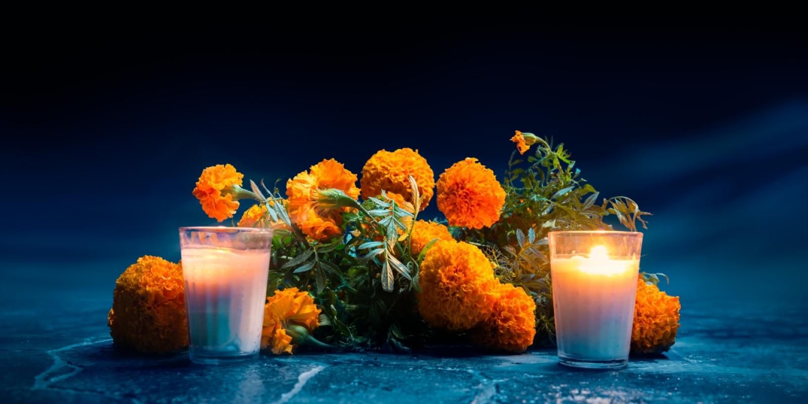 Featured image for Death, Dying, and Grief: More Than 5-Letter Words Featured image for Death, Dying, and Grief: More Than 5-Letter Words