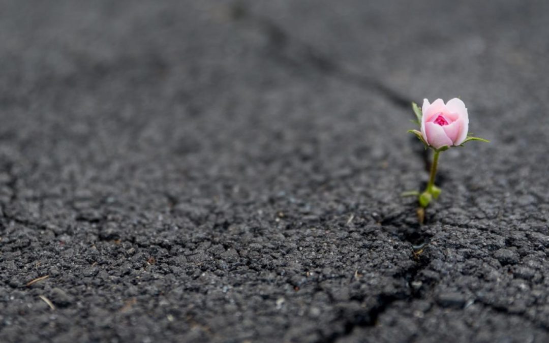 Resilience Through Retirement