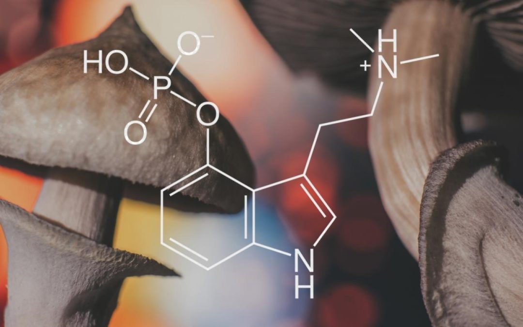 The Therapeutic Potential of Psychedelic Medicine for Aging Populations