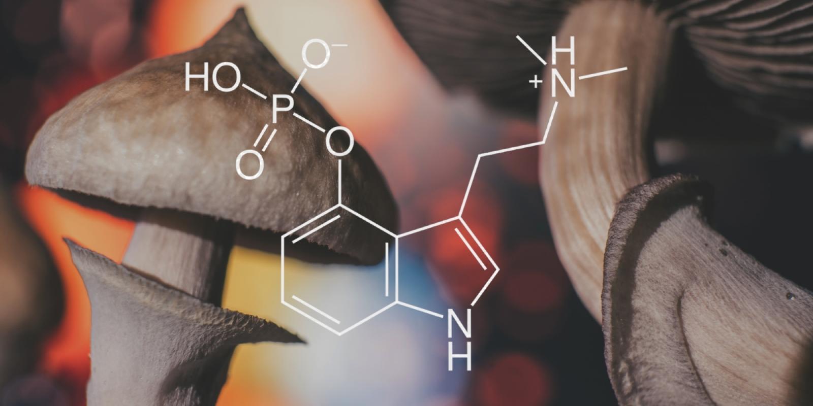 Featured image for Therapeutic Potential of Psychedelic Medicine Featured image for Therapeutic Potential of Psychedelic Medicine