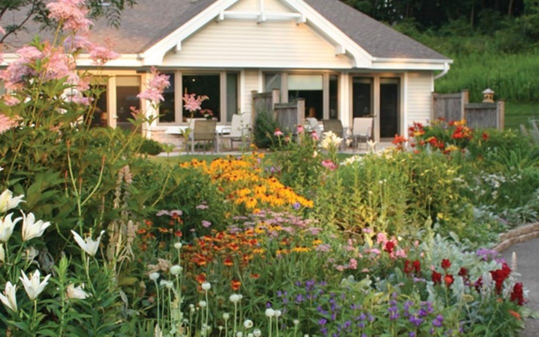 Nature Really Is Medicine, This Caregiver Learned