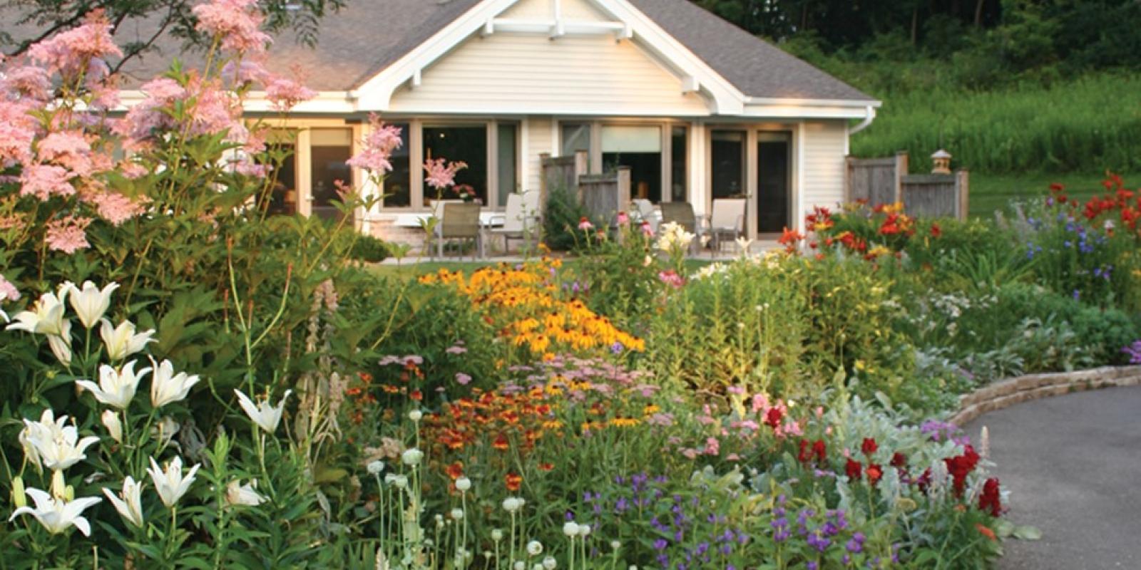 Featured image for Nature Really Is Medicine, This Caregiver Learned