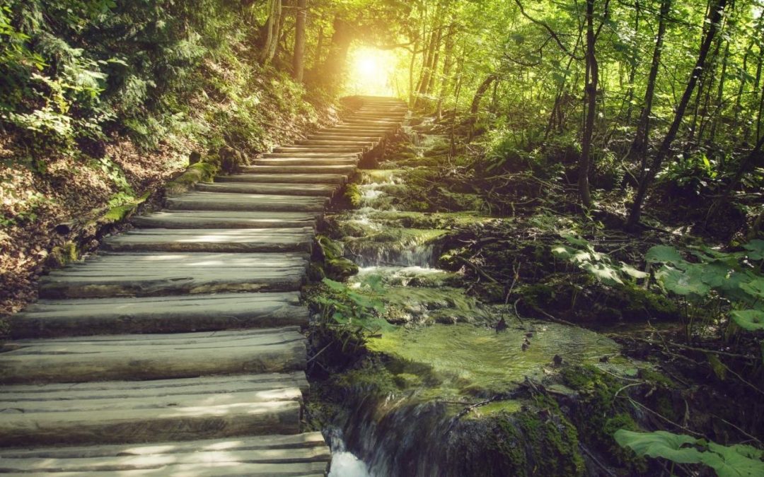 Old Woman’s Lament