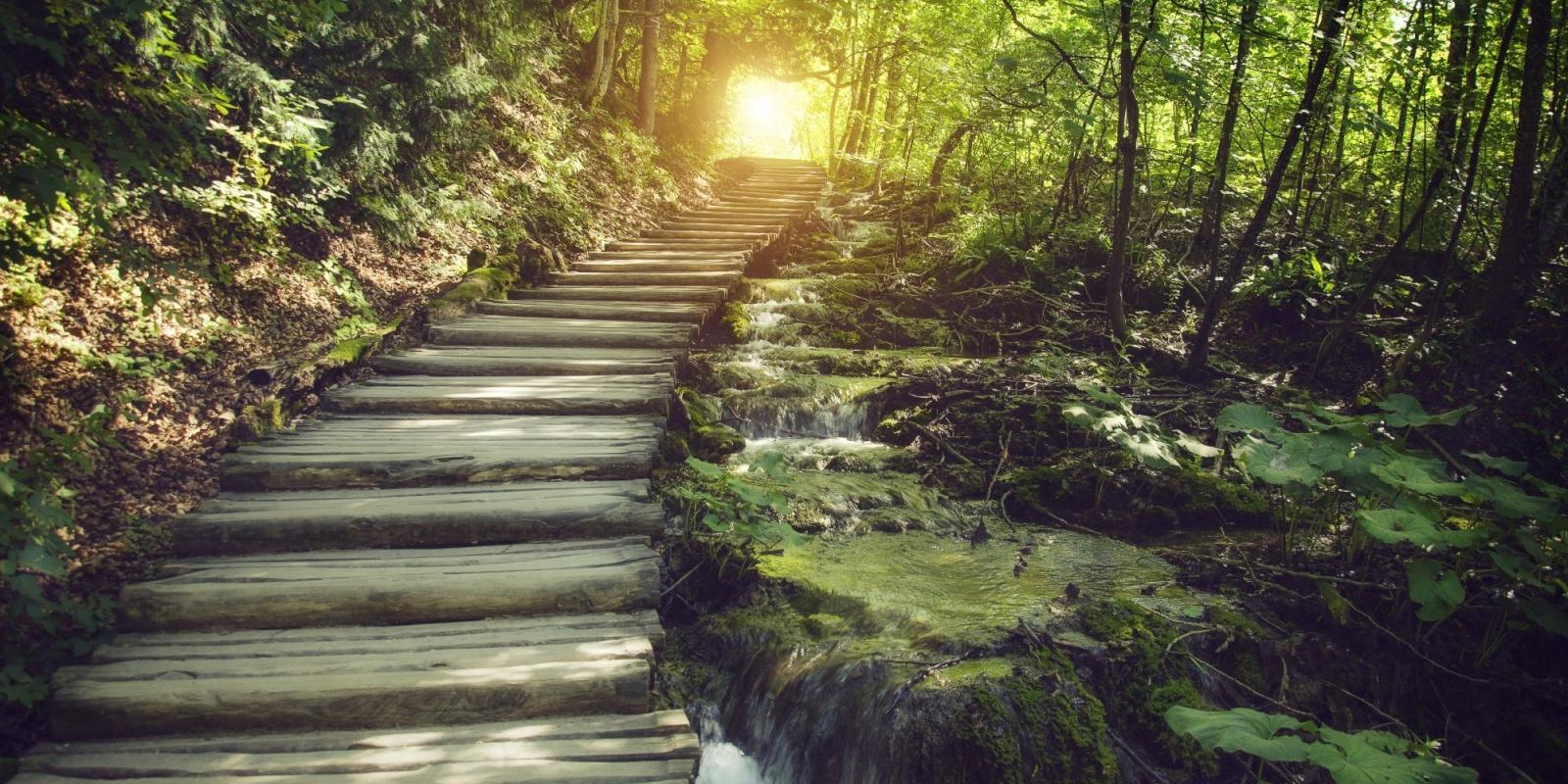 Featured image for Old Woman’s Lament Featured image for Old Woman’s Lament