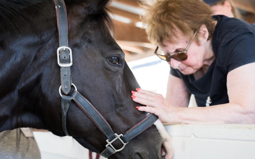 Horse Whisperers Connect Care Partners and People with Dementia