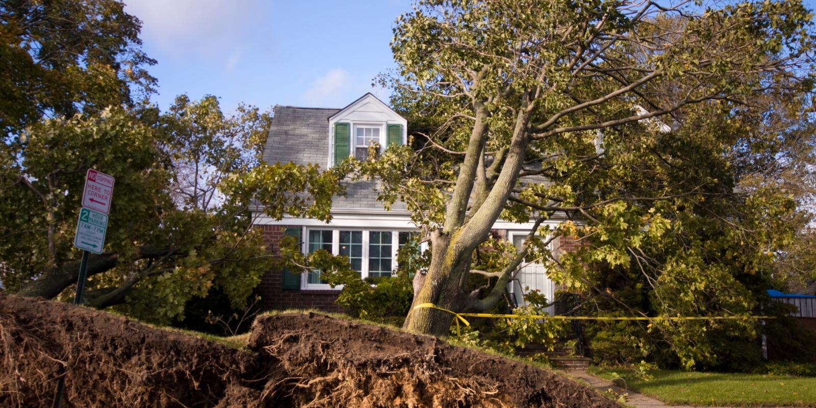 Featured image for Should I Stay or Should I Go? Featured image for Should I Stay or Should I Go?