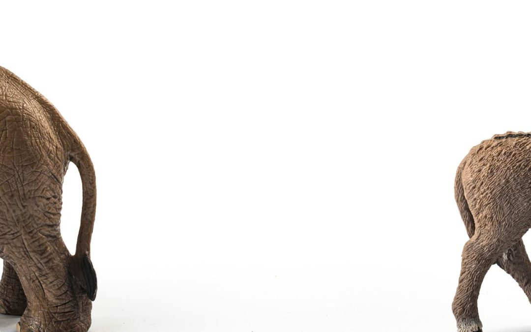 Why and How Should We Understand the Aging of Political Party Affiliation?