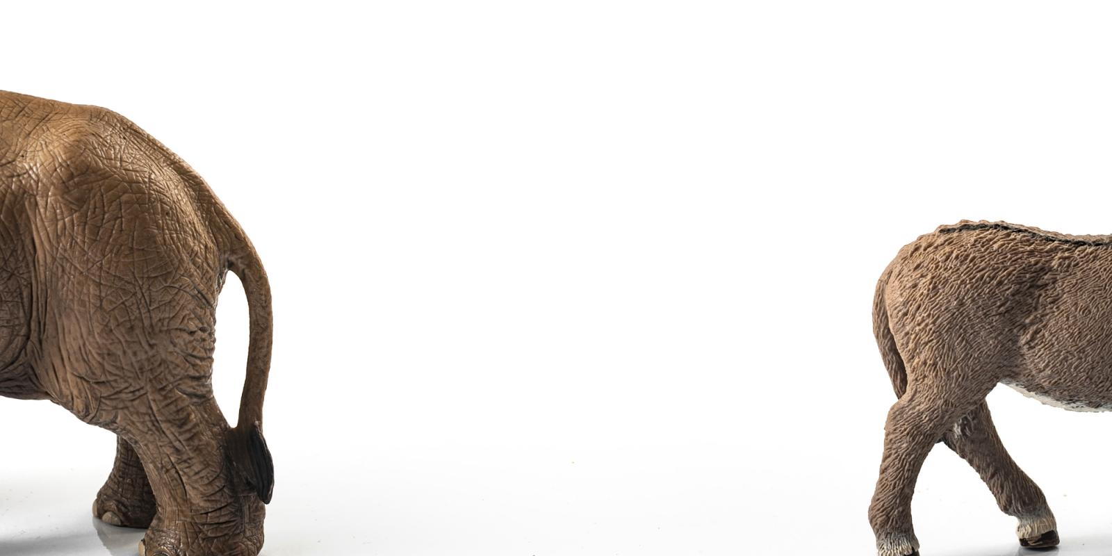 Featured image for Understanding Aging of Political Party Affiliation Featured image for Understanding Aging of Political Party Affiliation