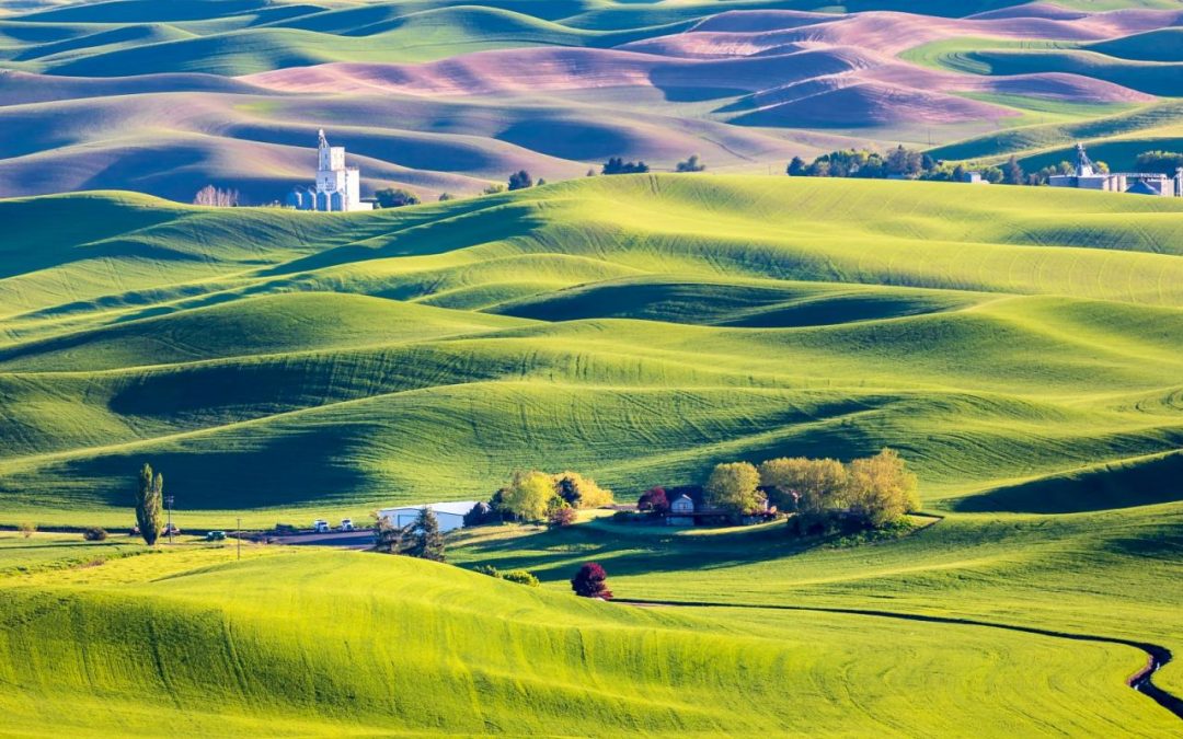 Focusing on Rural Healthcare and High Nutrition Risks