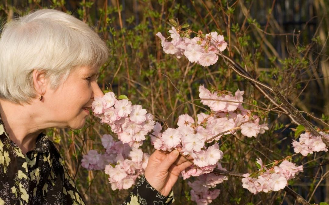 Improving the Lives of People Living with Dementia and Their Caregivers