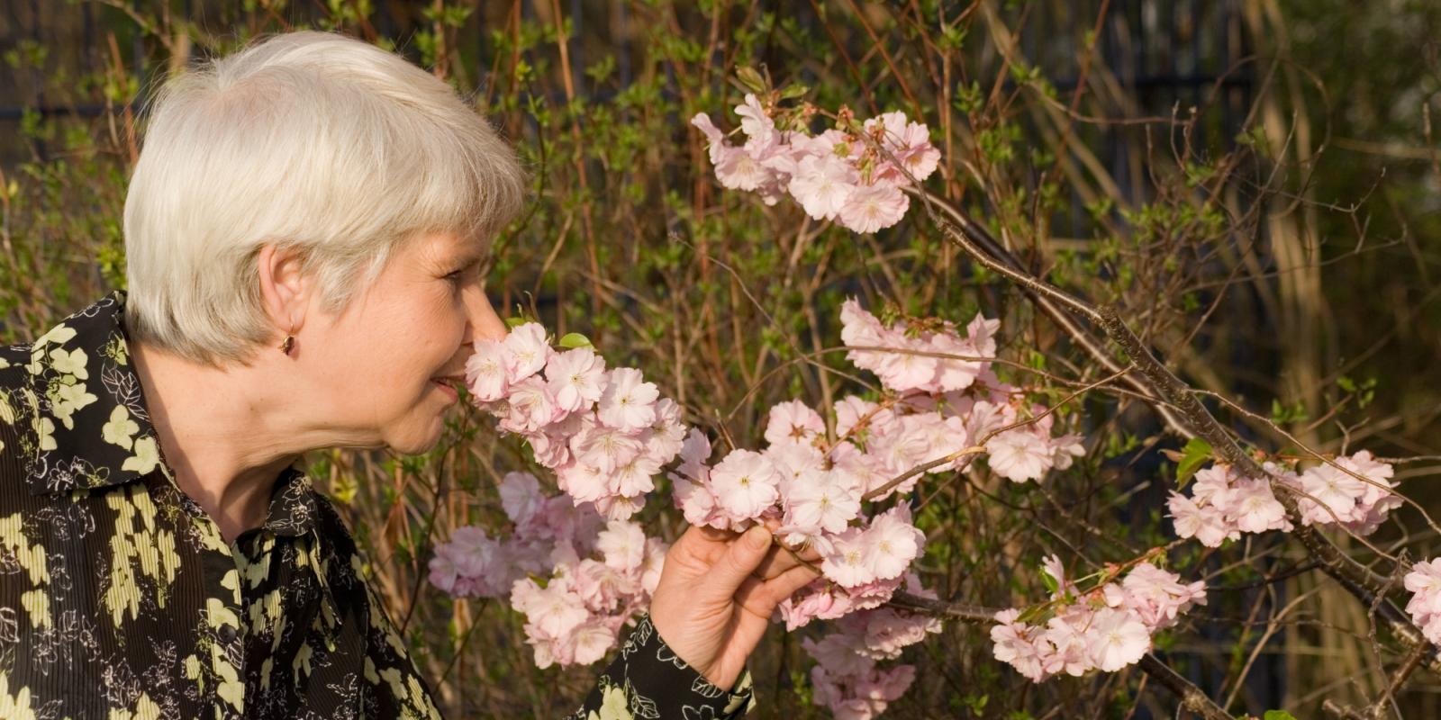 Featured image for Improving Lives of People with Dementia Featured image for Improving Lives of People with Dementia