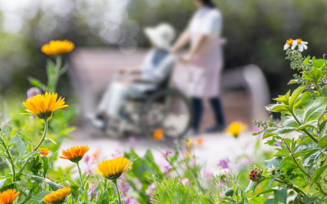UCSF’s Care at Home Program: Calming Chaos, Allowing Elders to Remain at Home