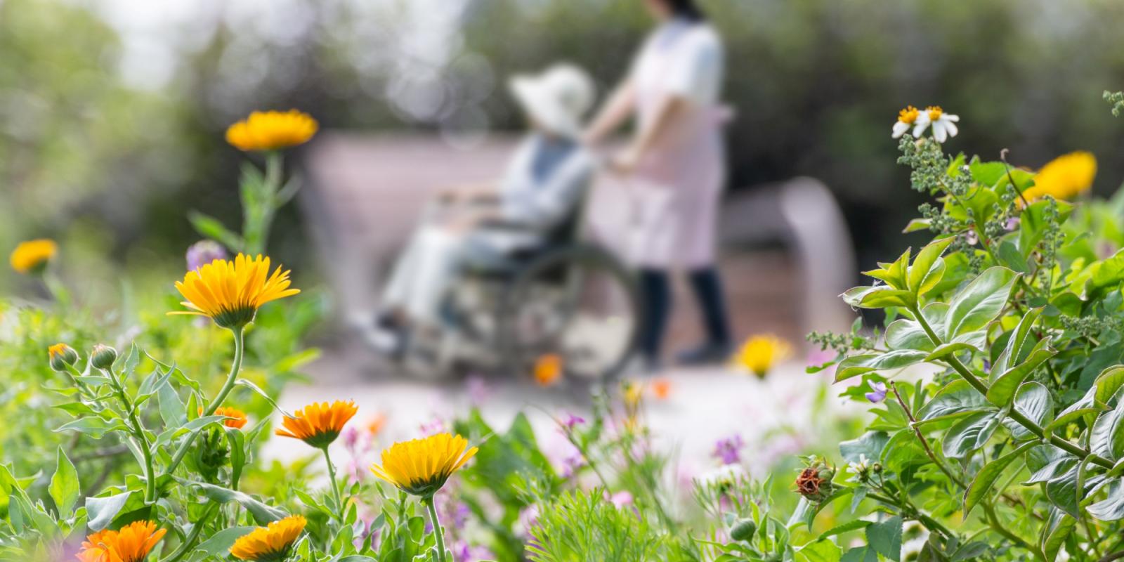 Featured image for UCSF’s Care at Home Program: Calming Chaos Featured image for UCSF’s Care at Home Program: Calming Chaos