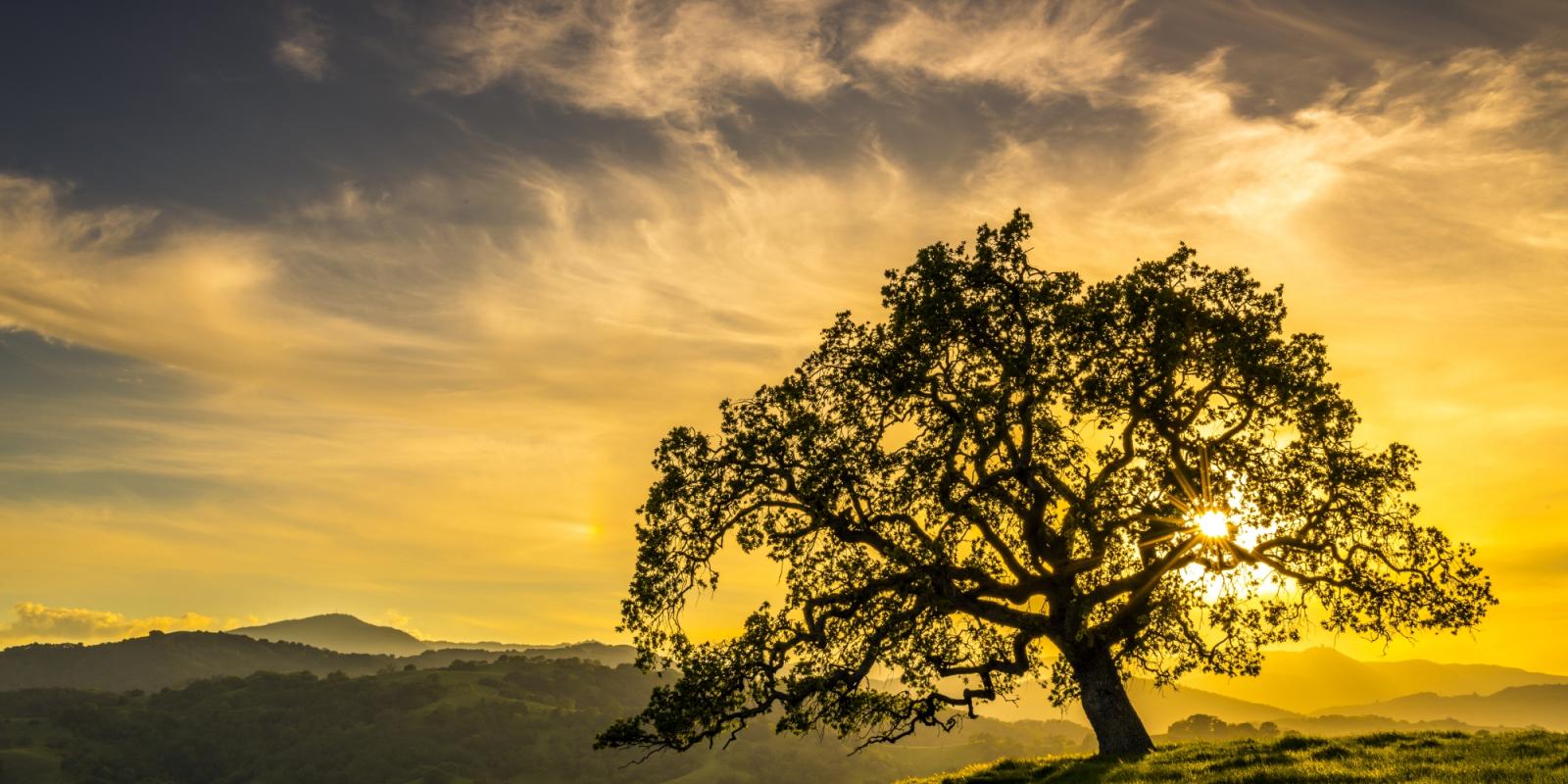 Featured image for Supporting Local Rural Multisector Plans for Aging Featured image for Supporting Local Rural Multisector Plans for Aging