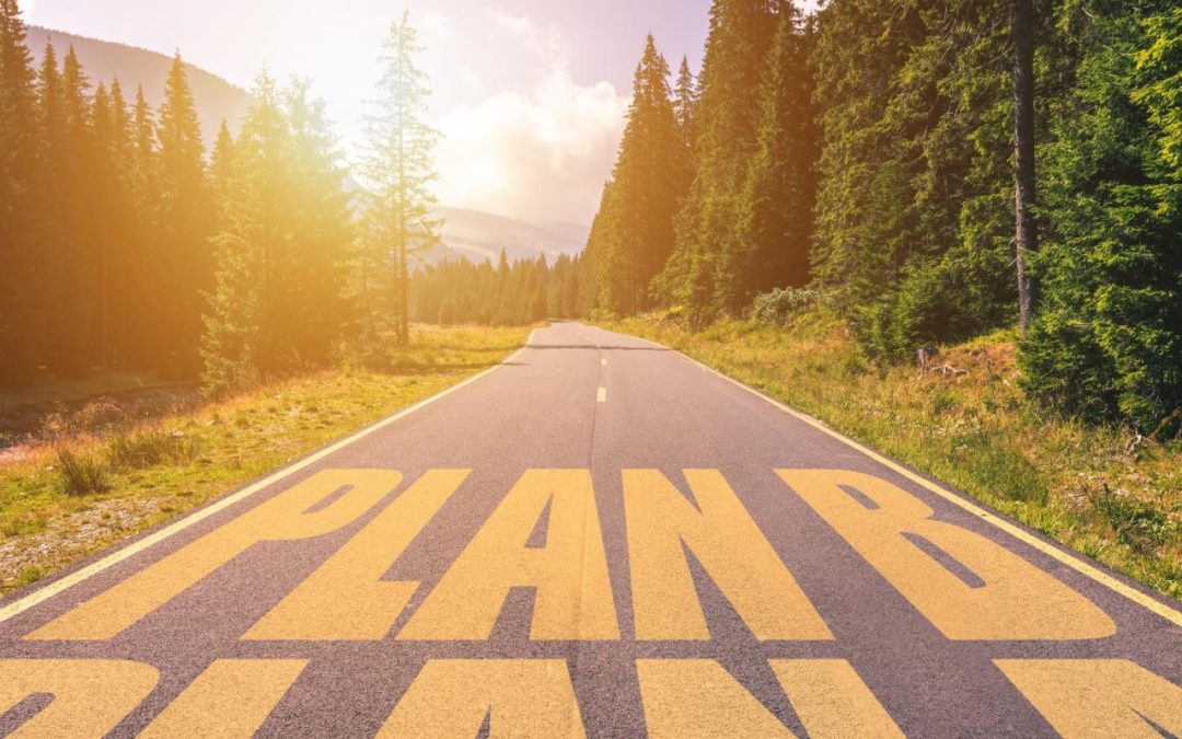 The Backup Plan—A New Planning Model that Keeps Solo Agers in Mind