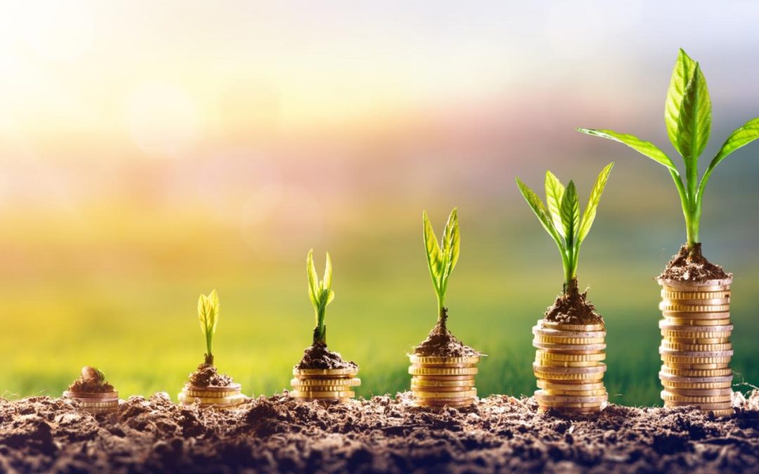 Key Financial Planning Considerations for Solo Agers