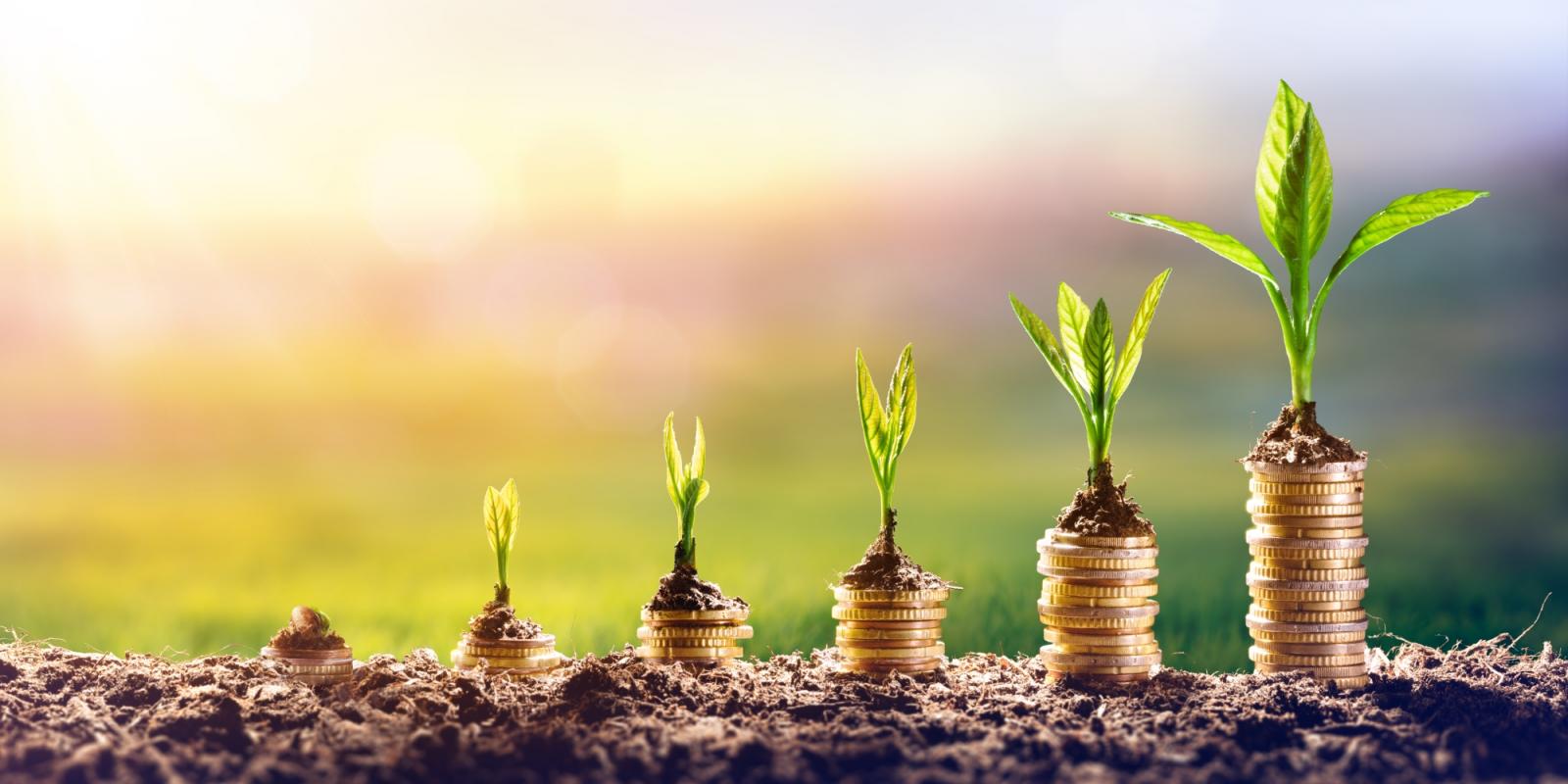 Featured image for Financial Planning Considerations for Solo Agers Featured image for Financial Planning Considerations for Solo Agers