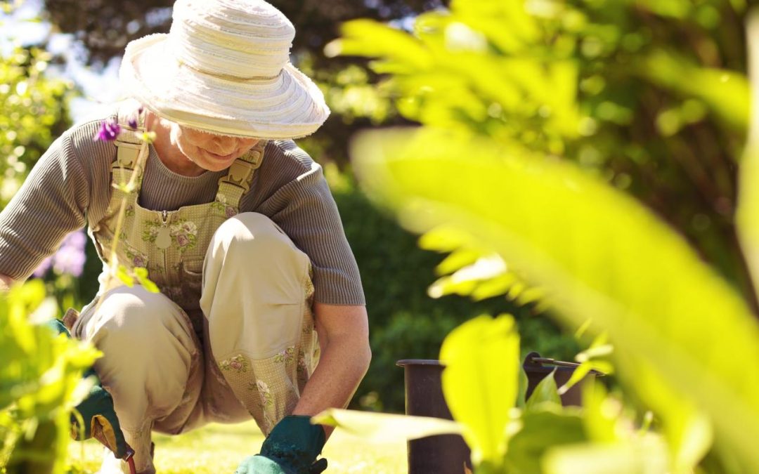 Harnessing the Healing Power of Nature