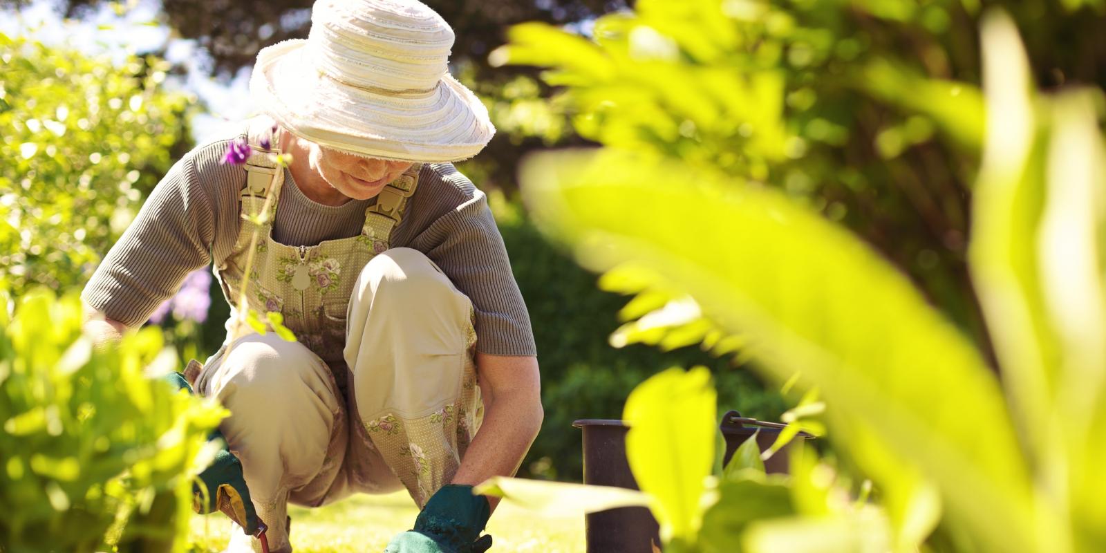 Featured image for Harnessing the Healing Power of Nature Featured image for Harnessing the Healing Power of Nature